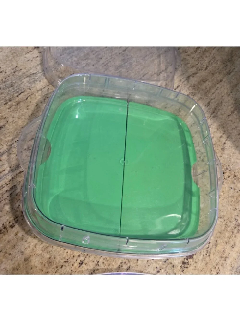 The Pampered Chef Cool & Serve Square Tray Set Deviled Eggs